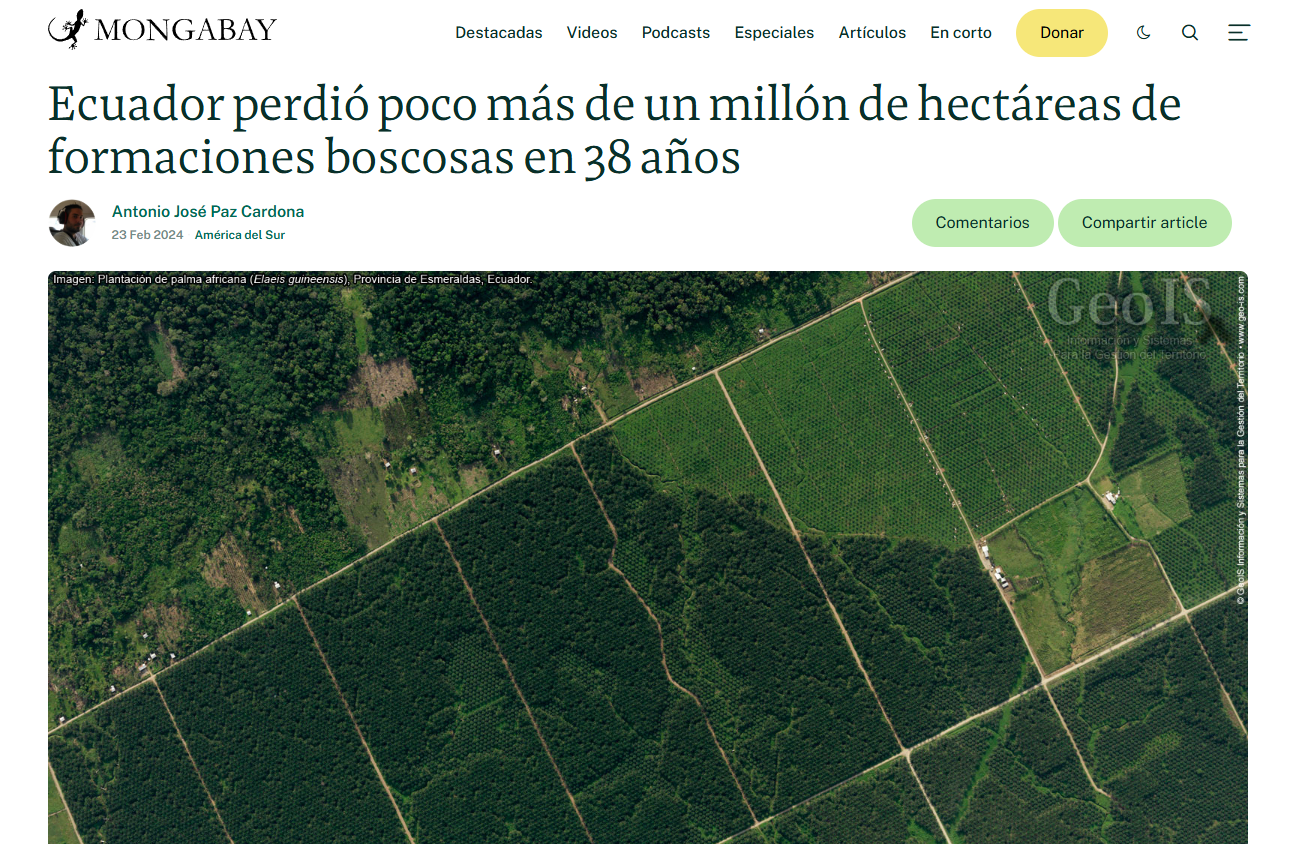 Ecuador perdió poco más de un millón de hectáreas de formaciones boscosas en 38 años